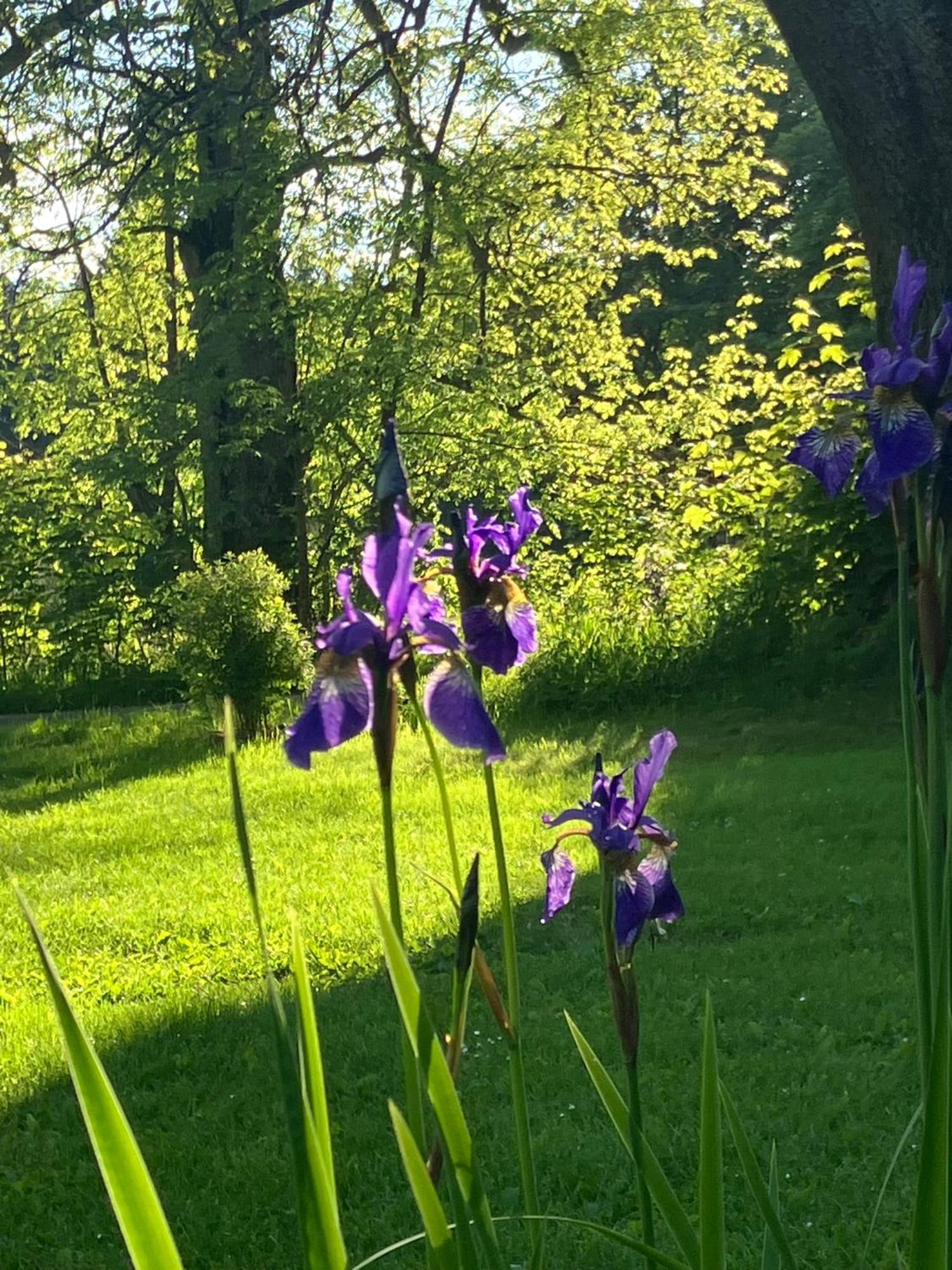 Holiday home Ostruvek Tachov (Plzen)