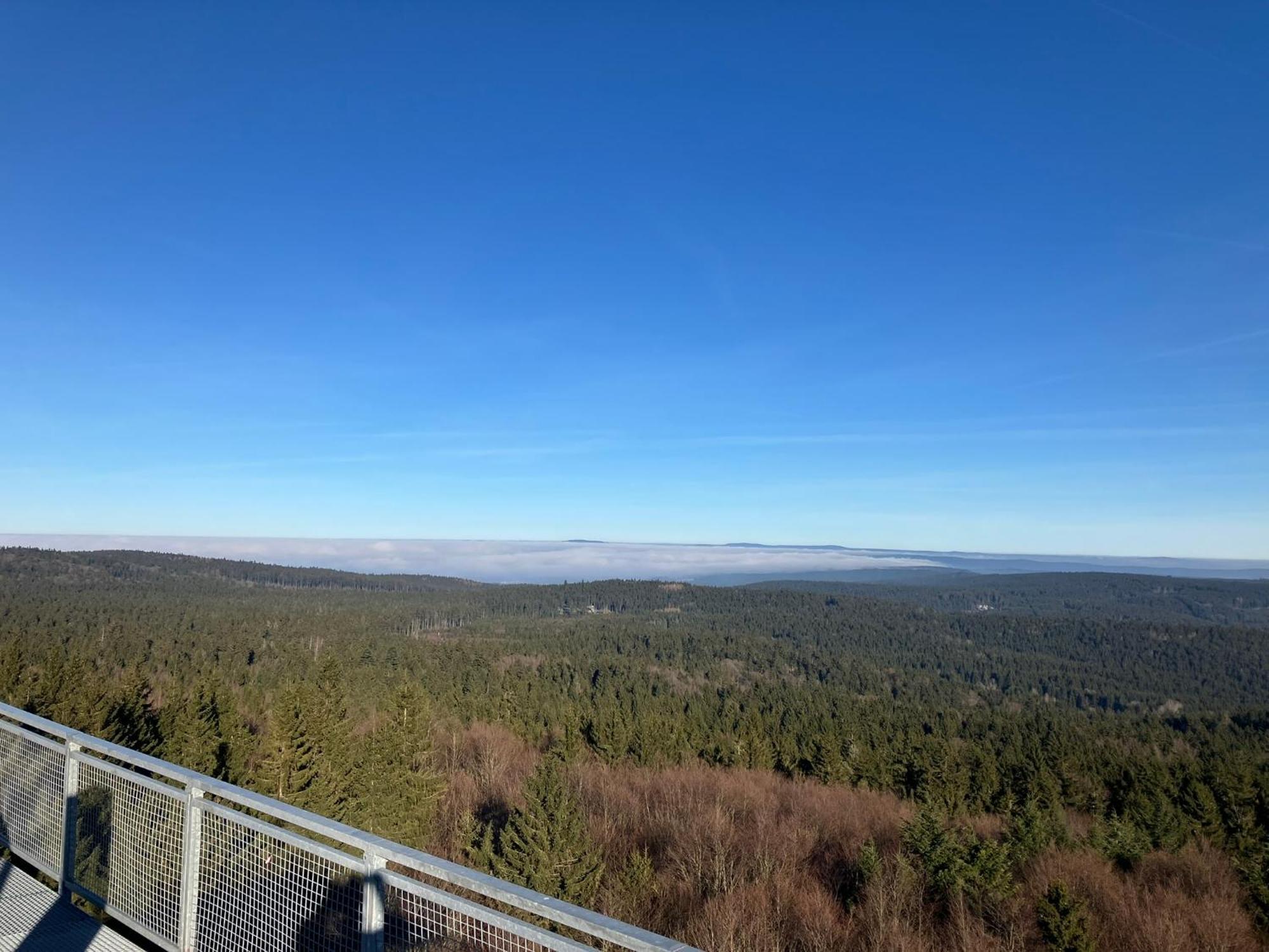 Ostruvek